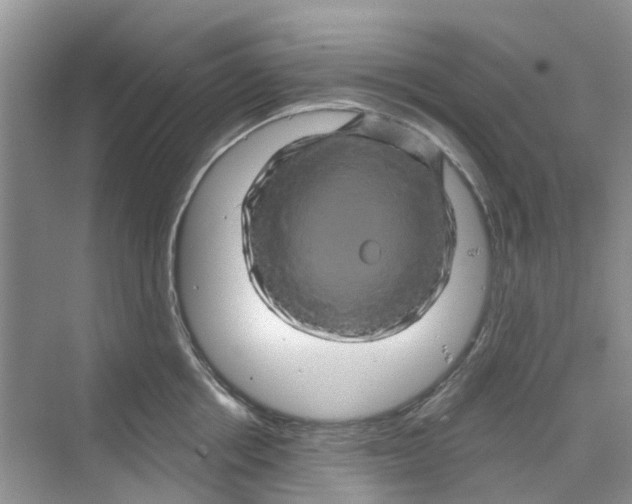 X0000069790858200606091741