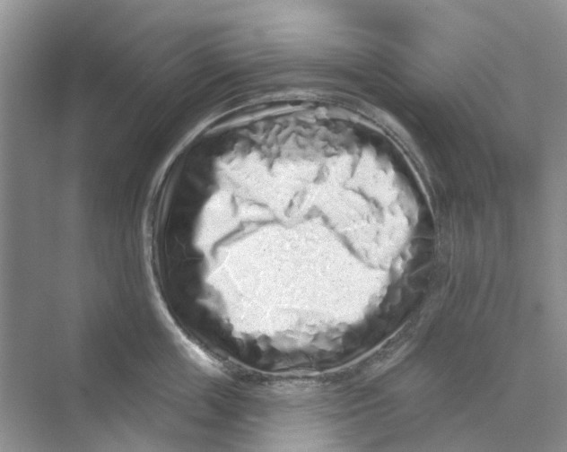 X0000069790859200606091741