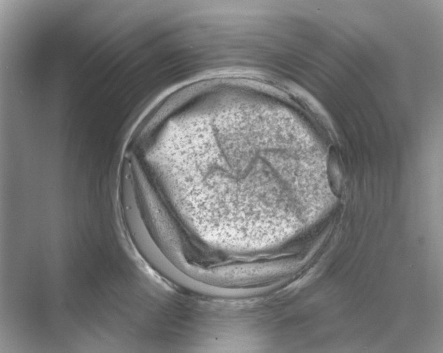 X0000069790860200606091741