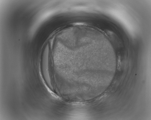 X0000069790861200606091741