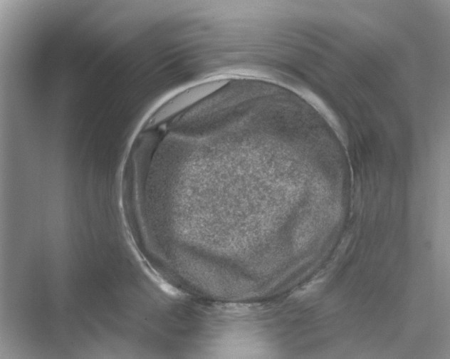 X0000069790862200606091741