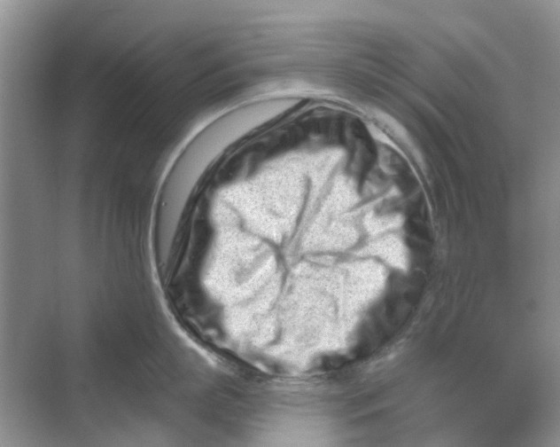 X0000069790863200606091741