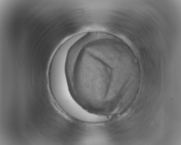 X0000069790864200606091741