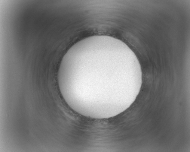 X0000069790865200606091740