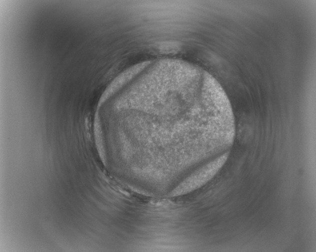 X0000069790866200606091740