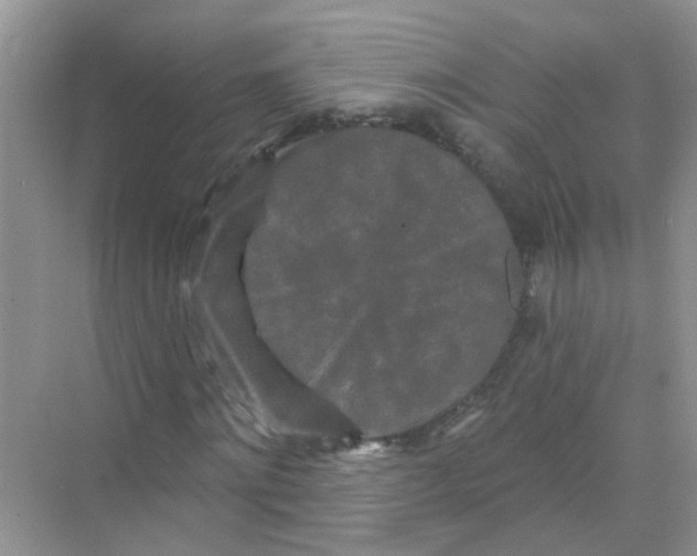 X0000069790868200606091740