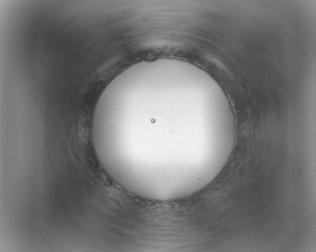 X0000069790869200606091740