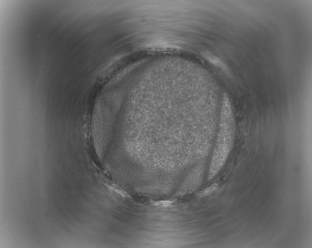 X0000069790870200606091740