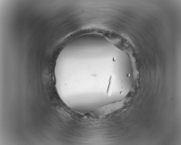 X0000069790872200606091740