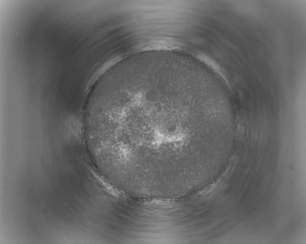 X0000069790874200606091740