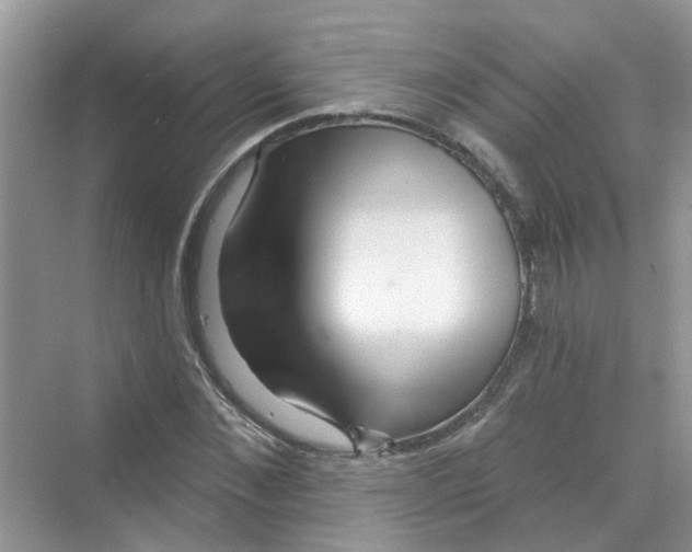 X0000069790876200606091740