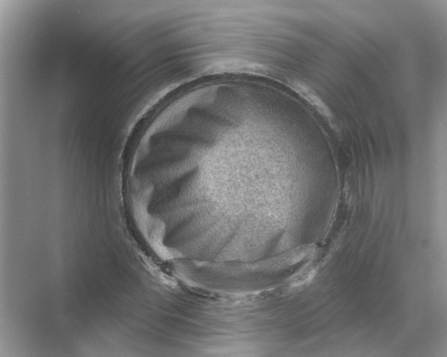 X0000069790877200606091740