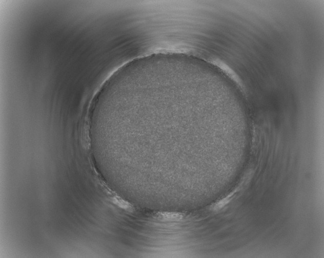 X0000069790878200606091740