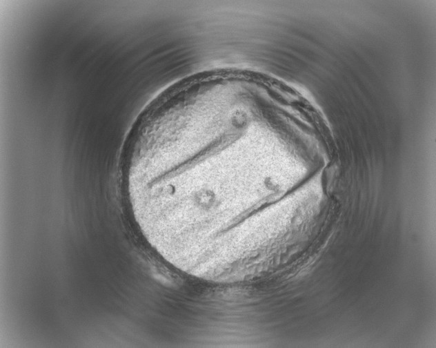 X0000069790879200606091740