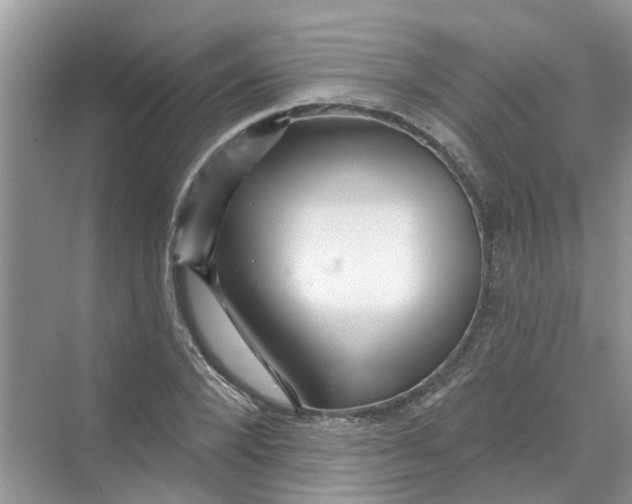 X0000069790880200606091740