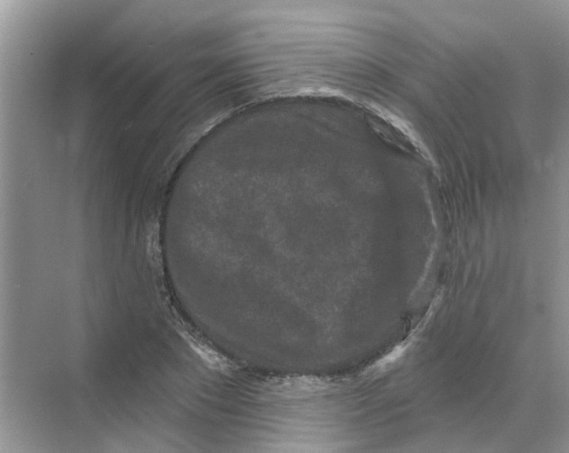 X0000069790881200606091740