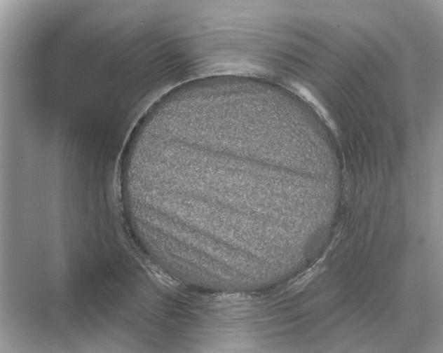 X0000069790883200606091740