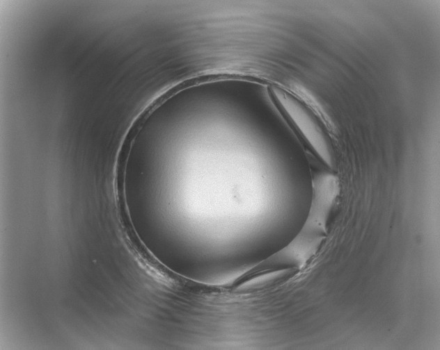 X0000069790884200606091740