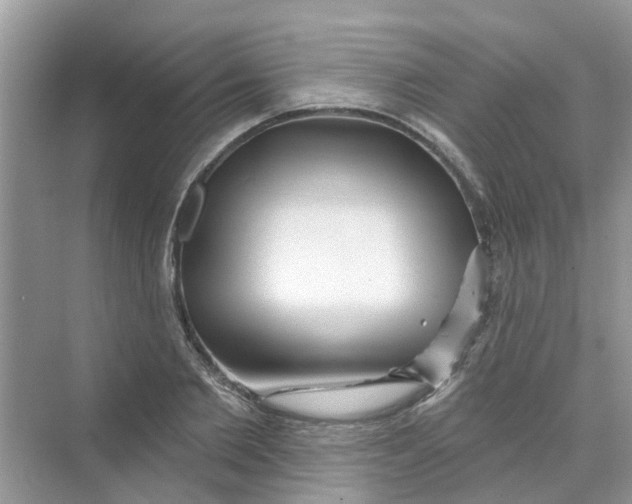 X0000069790885200606091740