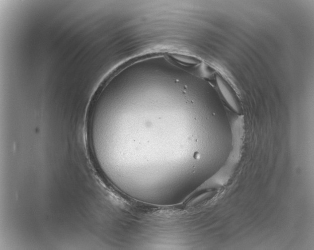 X0000069790888200606091740