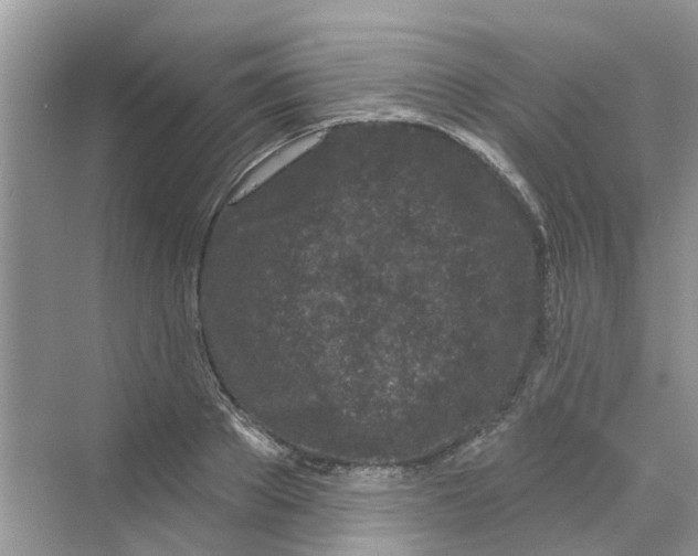 X0000069790889200606091740