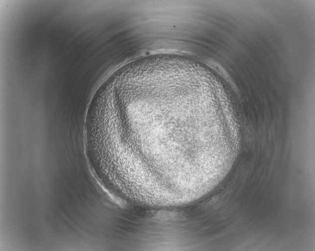 X0000069790890200606091740