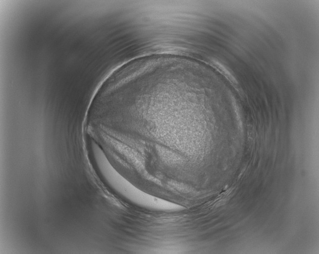 X0000069790891200606091740