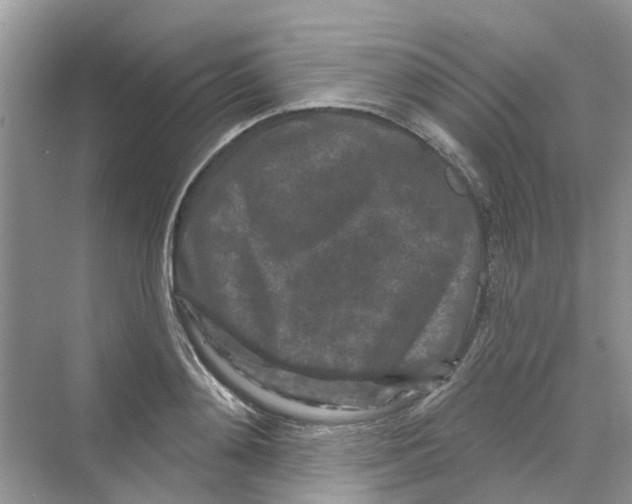 X0000069790892200606091740