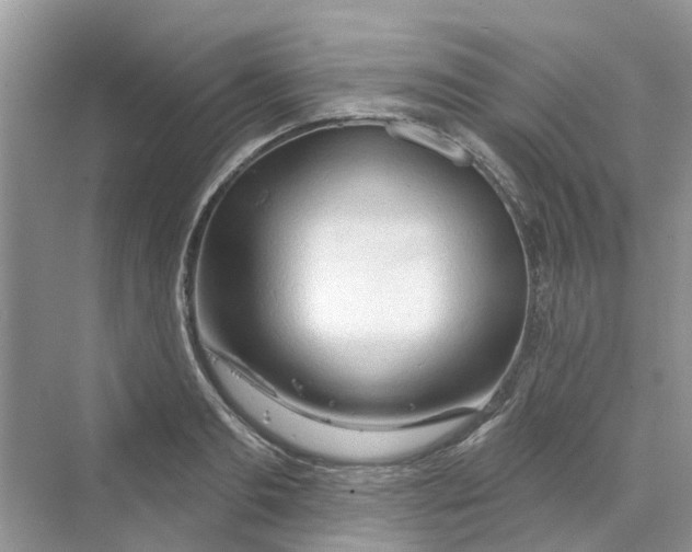 X0000069790893200606091740