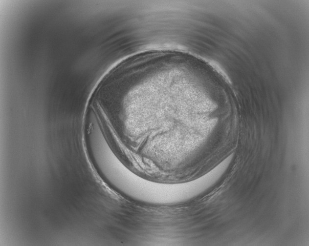 X0000069790895200606091740