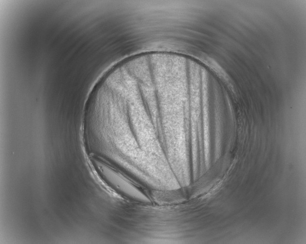 X0000069790896200606091740