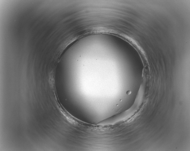 X0000069790897200606091740