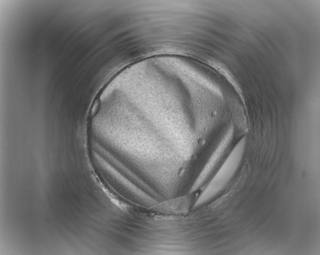 X0000069790898200606091740