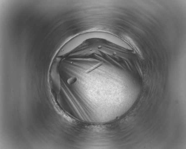 X0000069790900200606091740