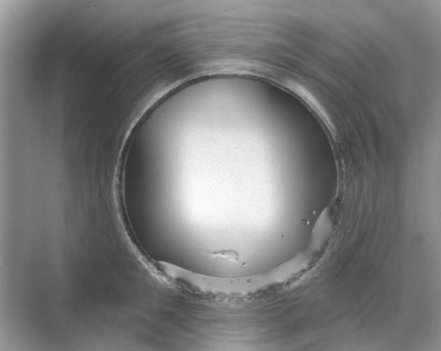 X0000069790901200606091740