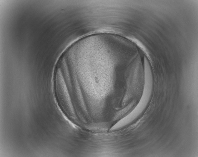 X0000069790902200606091740