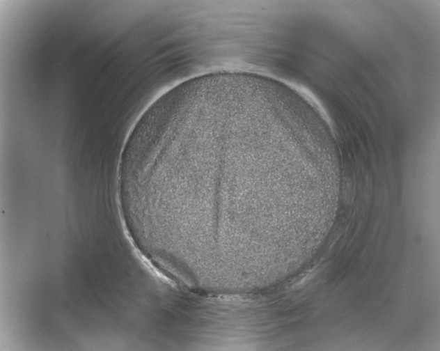 X0000069790903200606091740