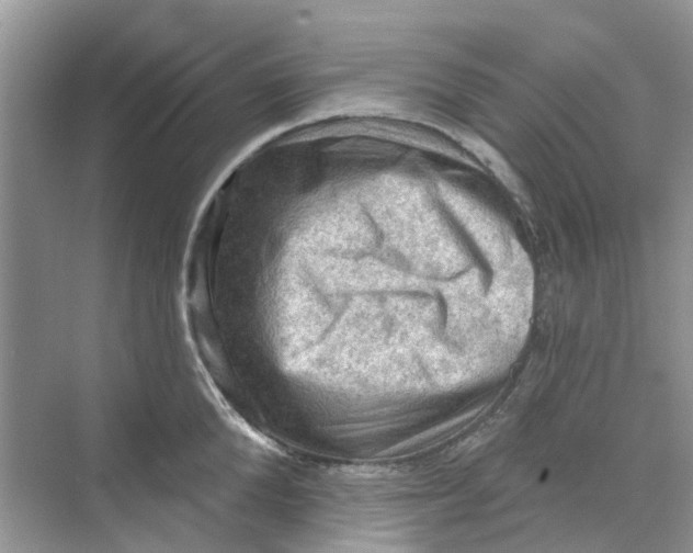 X0000069790904200606091740