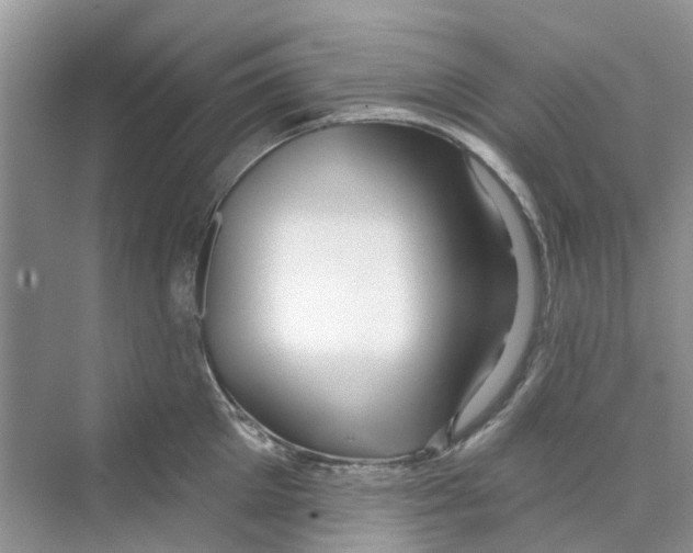 X0000069790905200606091740