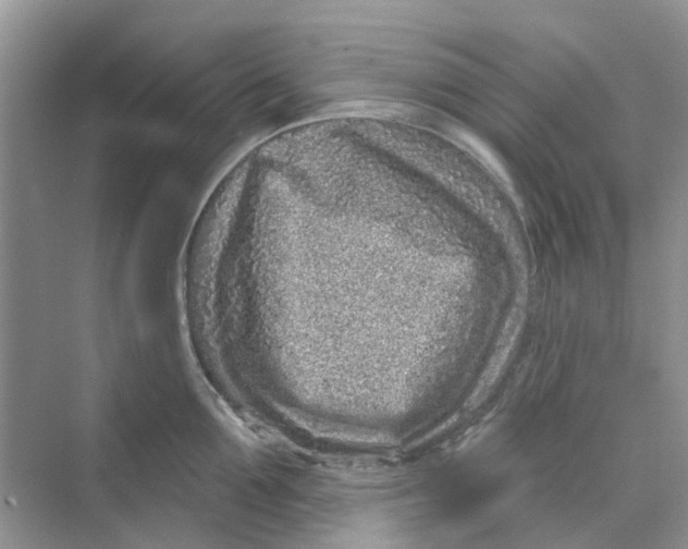 X0000069790907200606091740