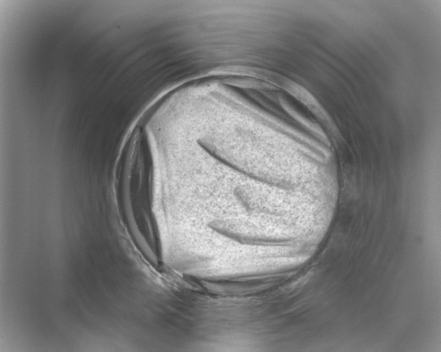 X0000069790908200606091740