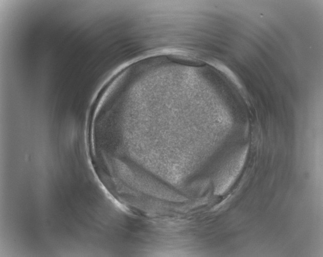 X0000069790910200606091740