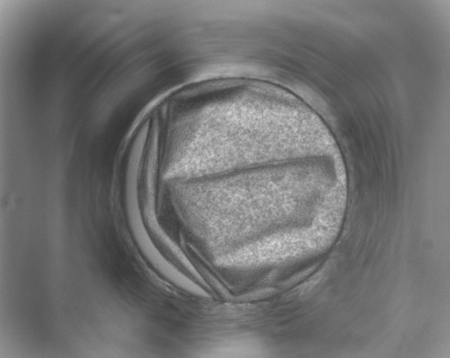 X0000069790912200606091740