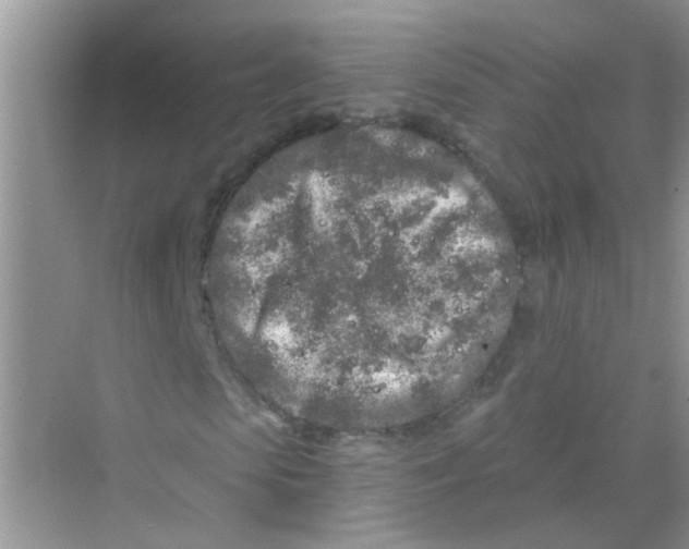 X0000069790913200606091739