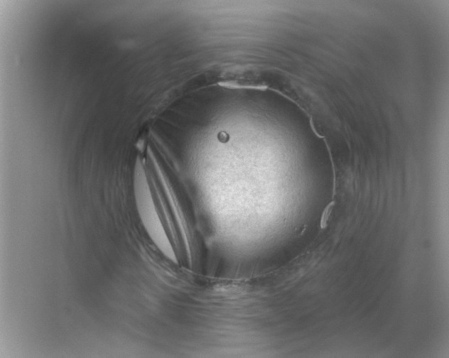 X0000069790914200606091739