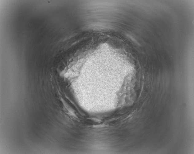 X0000069790917200606091739