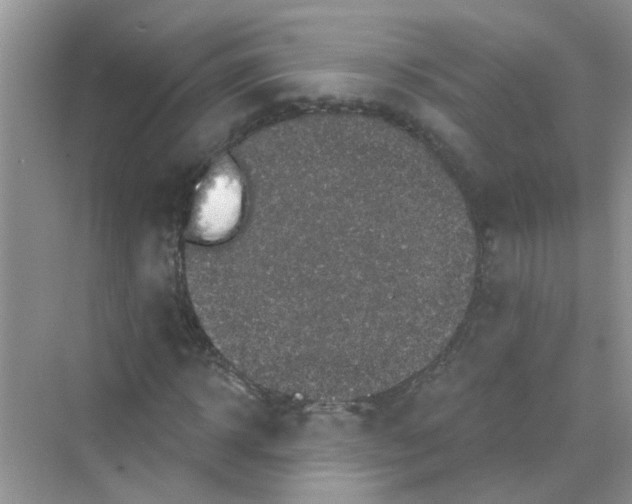 X0000069790918200606091739