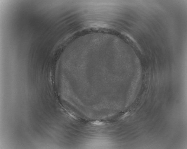 X0000069790919200606091739