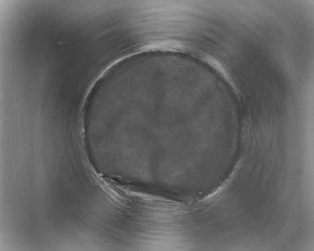 X0000069790923200606091739