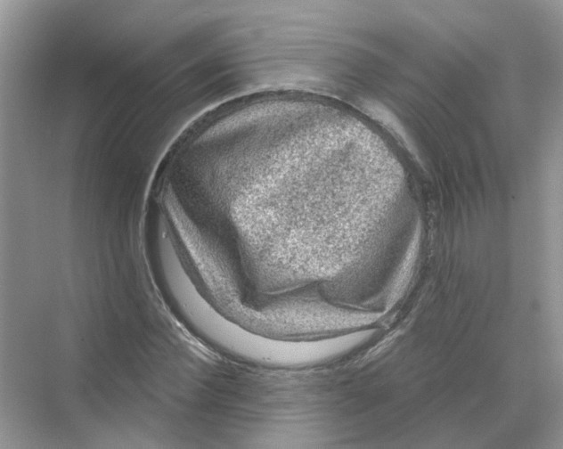 X0000069790924200606091739